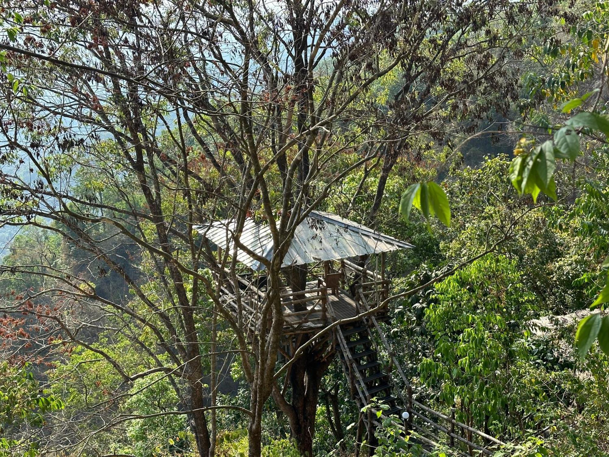 Sunset Valley Kerala Pool Resort - Serene Natural Forest Cottage Stay In Idukki With Sunrise & Sunset Panoramas, Natural Streams & Tranquil Summer Evenings Pīrmed エクステリア 写真