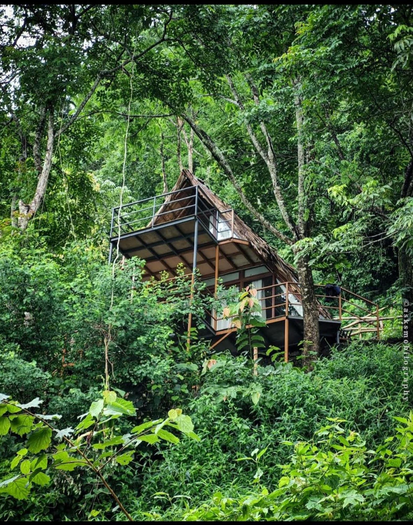 Sunset Valley Kerala Pool Resort - Monsoon Forest Cottage Stay In Idukki With Private Waterfalls, Natural Streams & Breathtaking Views Pīrmed エクステリア 写真