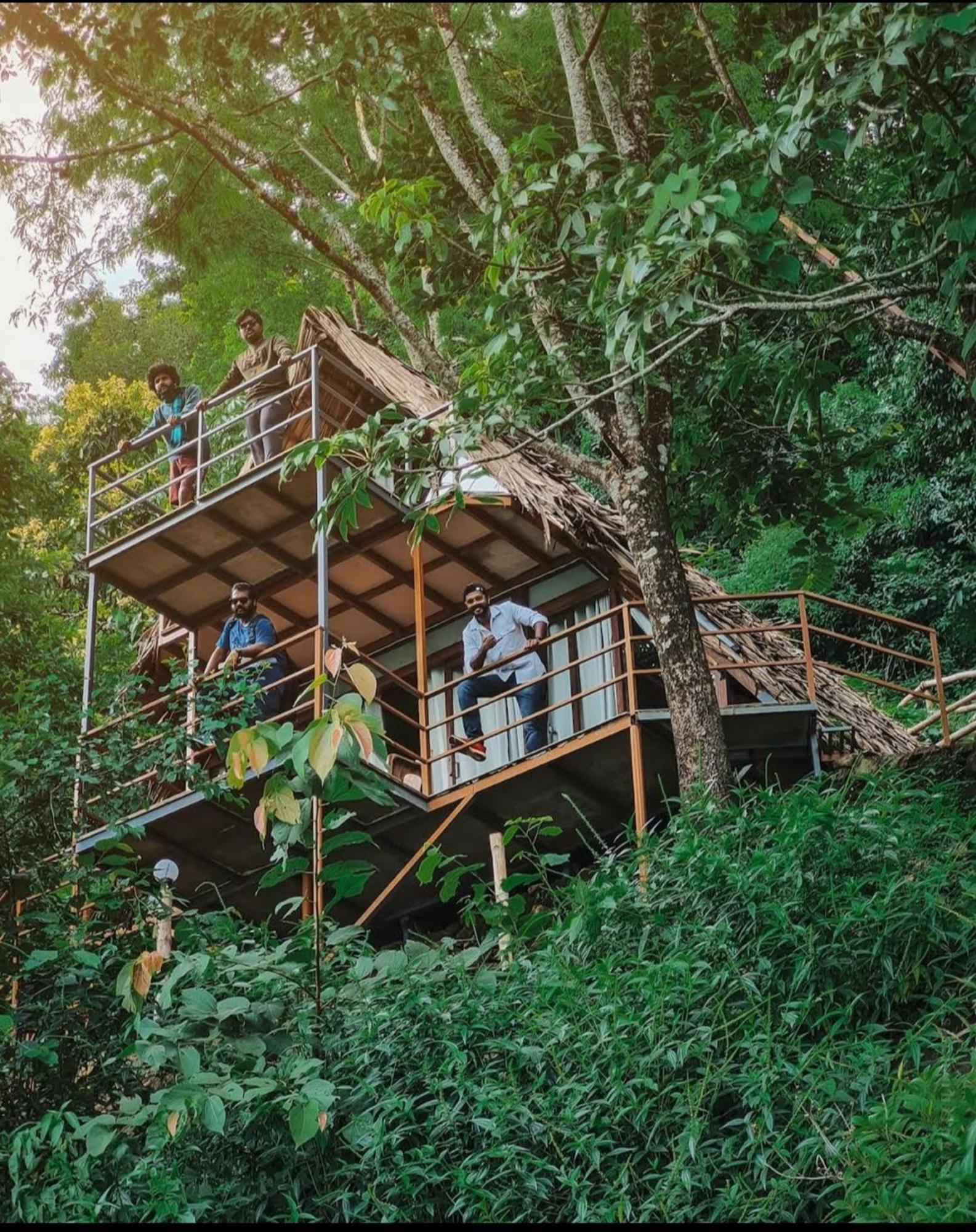 Sunset Valley Kerala Pool Resort - Serene Natural Forest Cottage Stay In Idukki With Sunrise & Sunset Panoramas, Natural Streams & Tranquil Summer Evenings Pīrmed エクステリア 写真