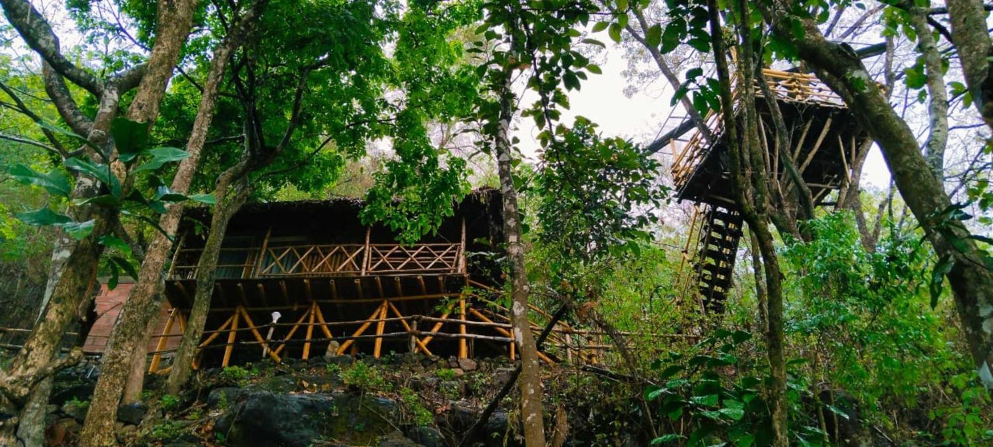 Sunset Valley Kerala Pool Resort - Serene Natural Forest Cottage Stay In Idukki With Sunrise & Sunset Panoramas, Natural Streams & Tranquil Summer Evenings Pīrmed エクステリア 写真